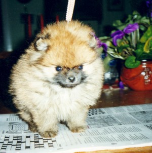winnie.jpg